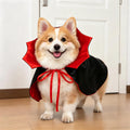 Pet Costumes
