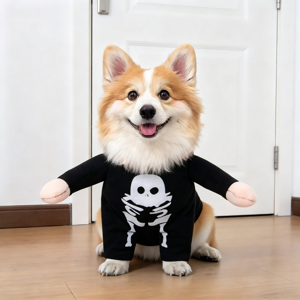 Pet Costumes
