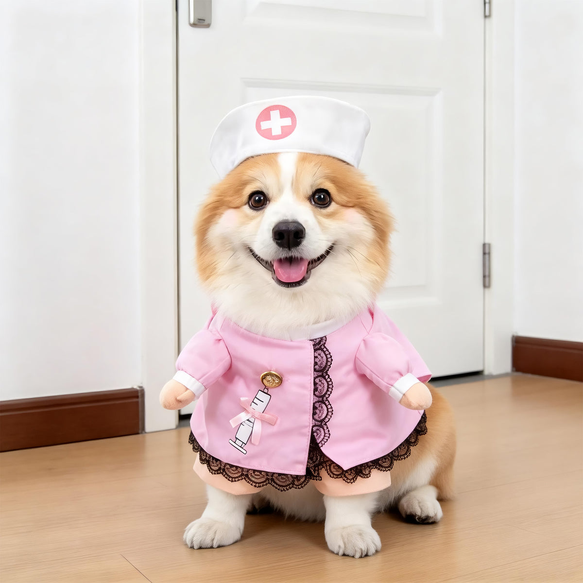 Pet Costumes