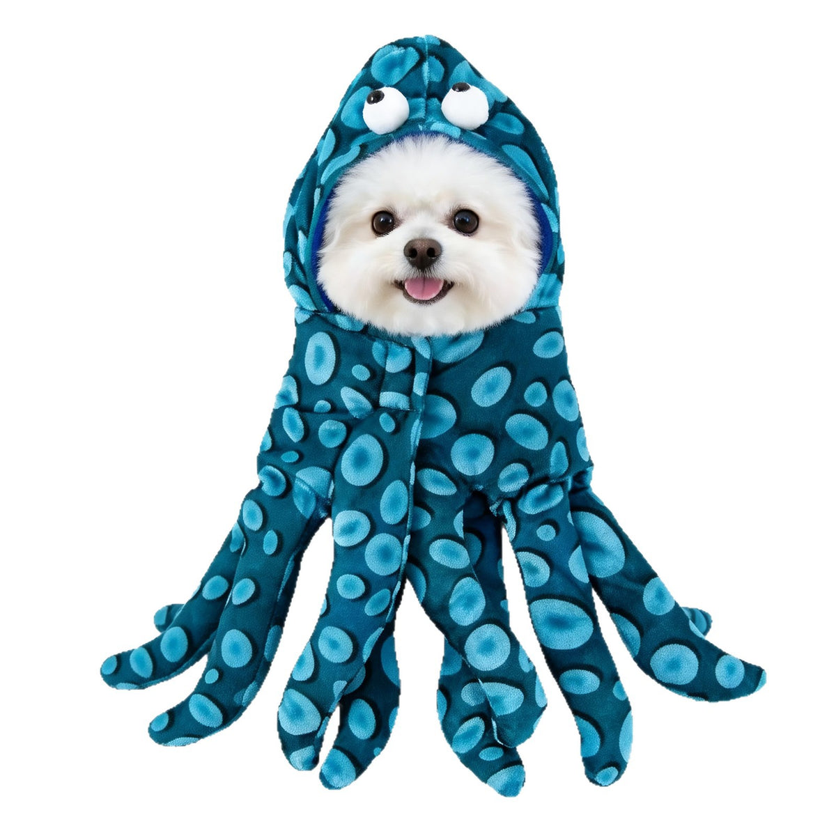 Pet Costumes