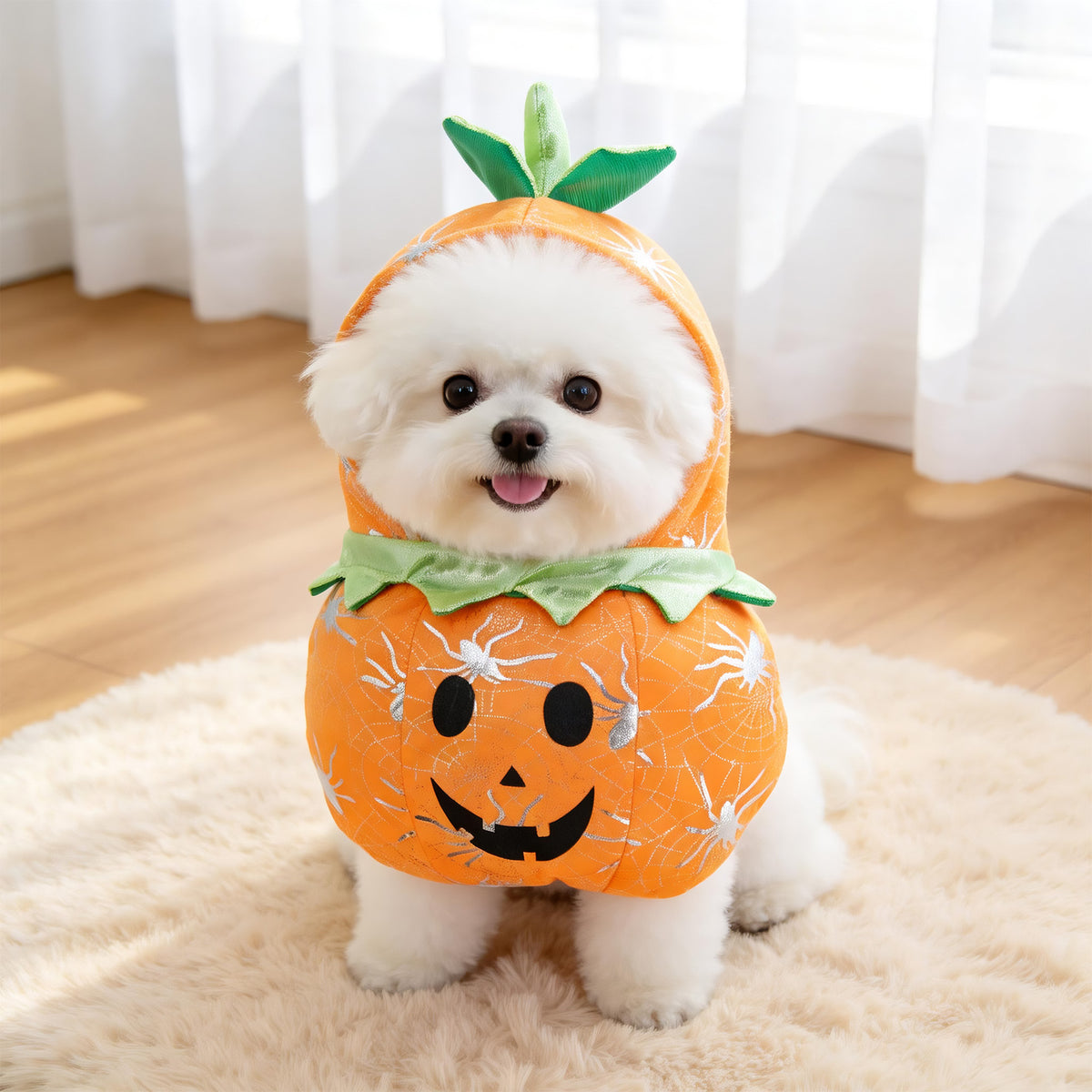 Pet Costumes