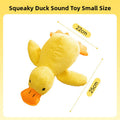 Patty The Duck