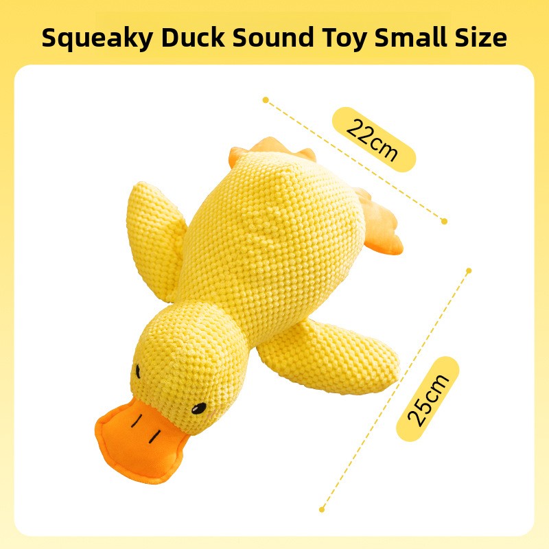 Patty The Duck