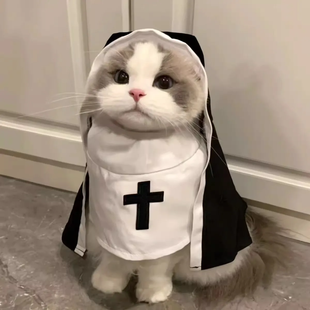 Pet Costumes