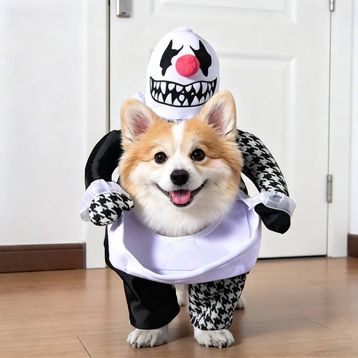 Pet Costumes