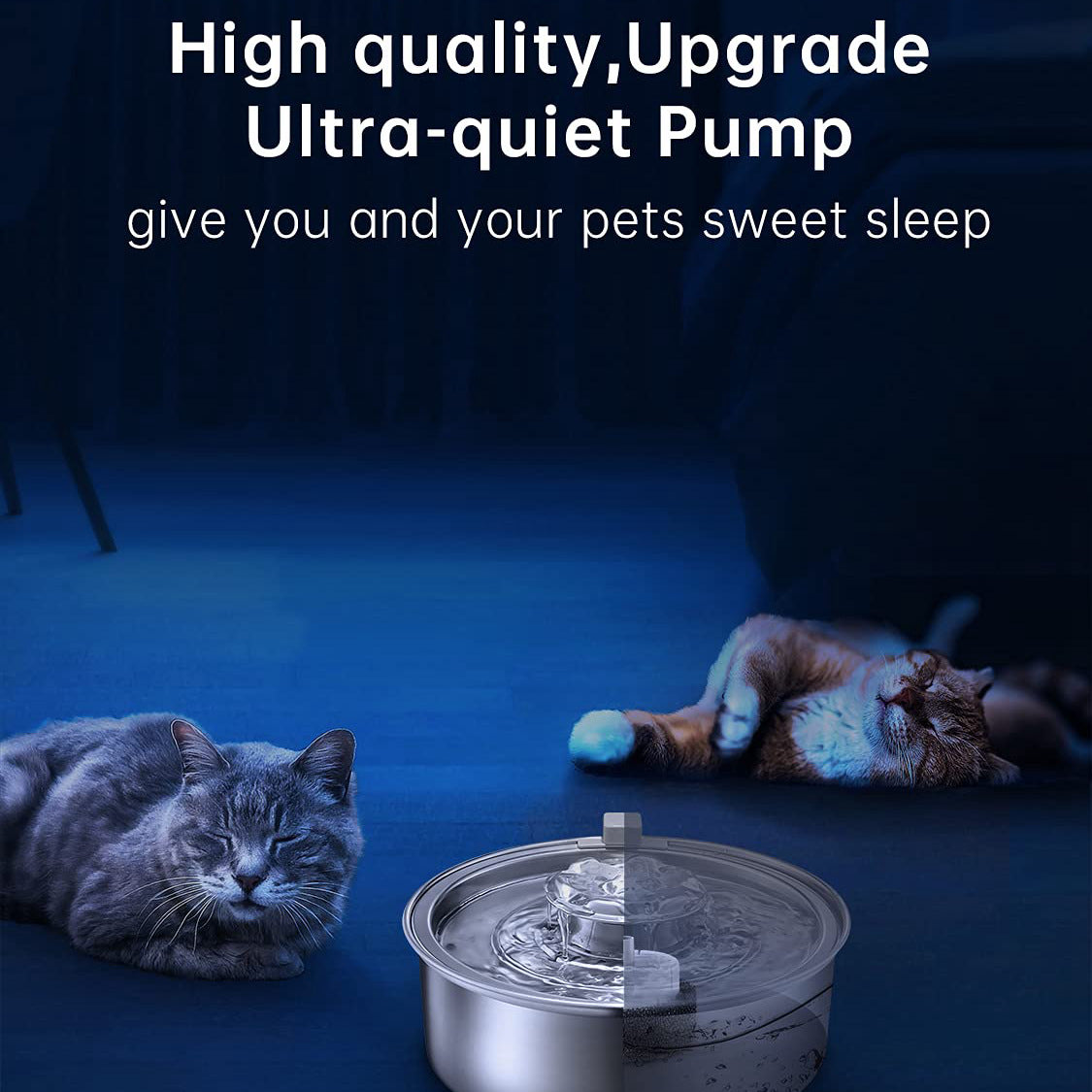 Filtered Water dispenser