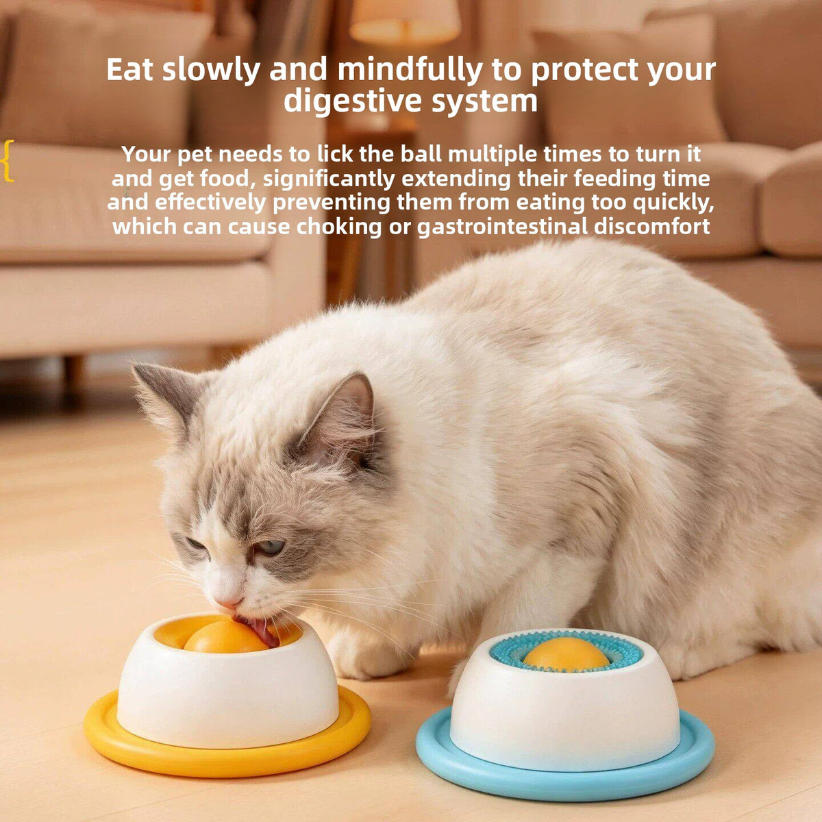 Slow Feeder