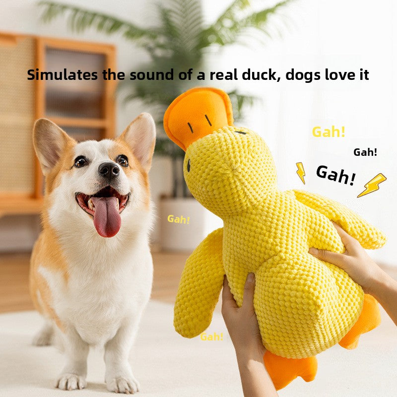 Patty The Duck