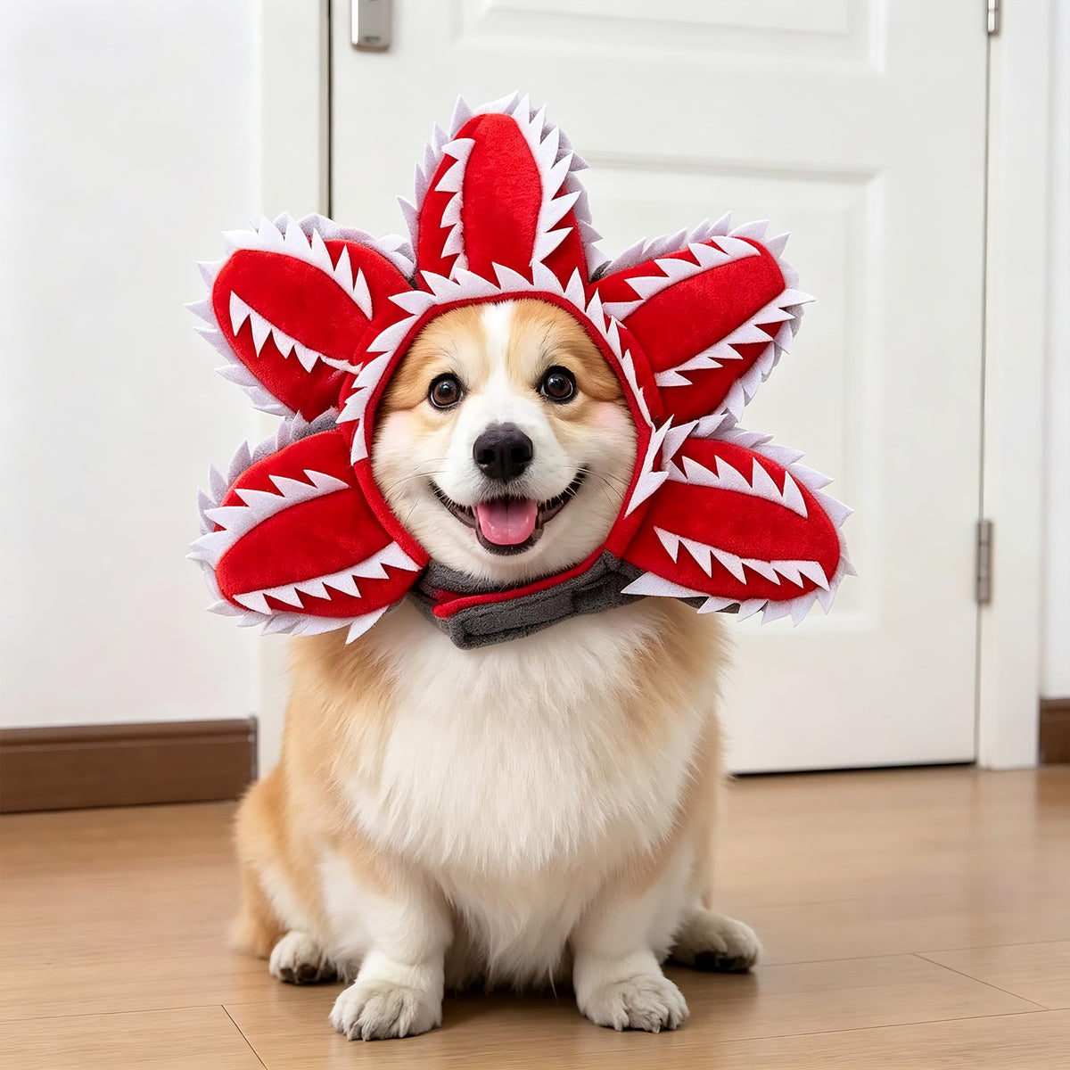 Pet Costumes